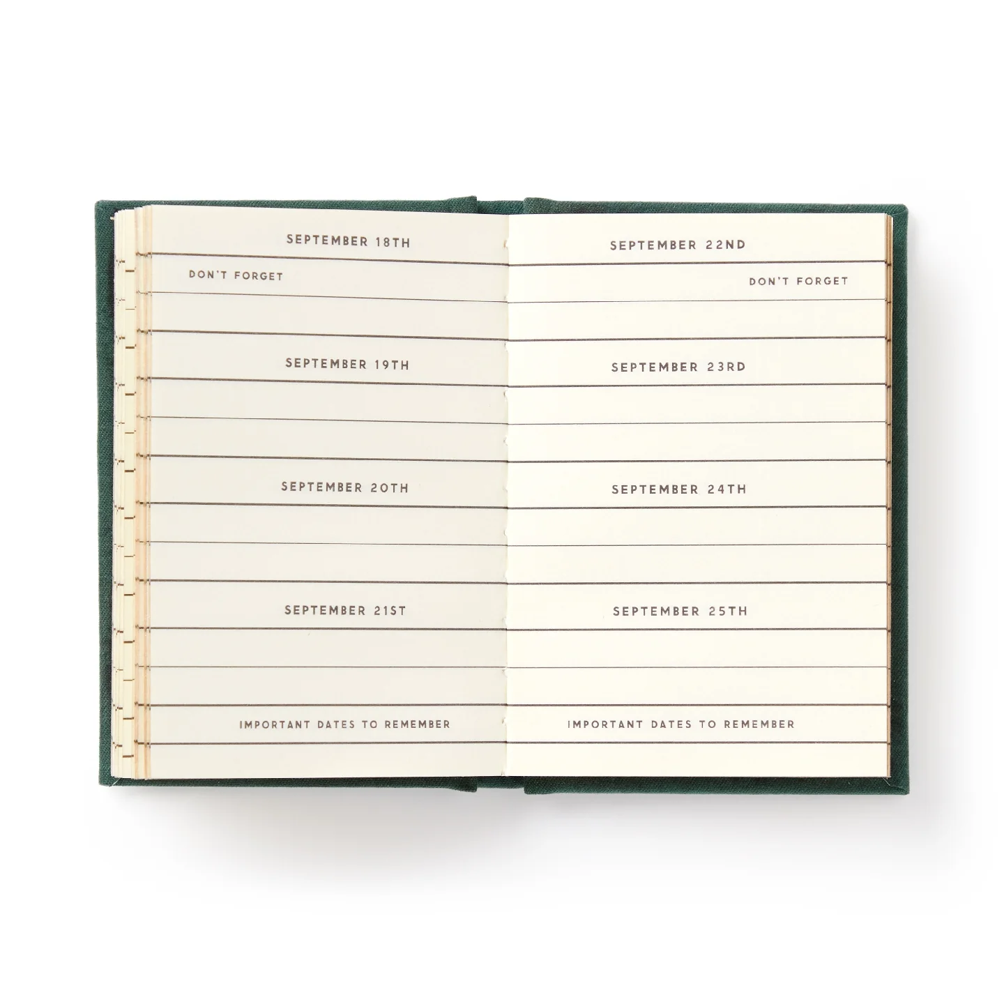 Brass Monkey - Dates People Get Mad If I Forget - Tiny Diary - Green - Image 2