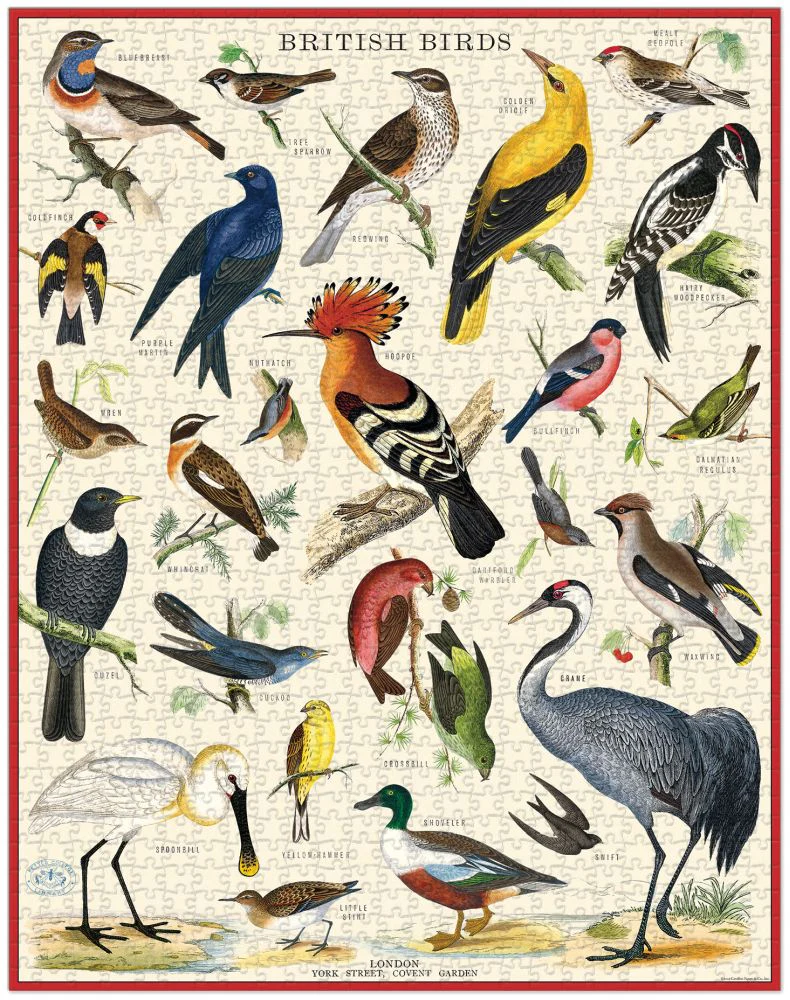 Cavallini & Co - Vintage Puzzle 1000 Pieces - British Birds - Image 2