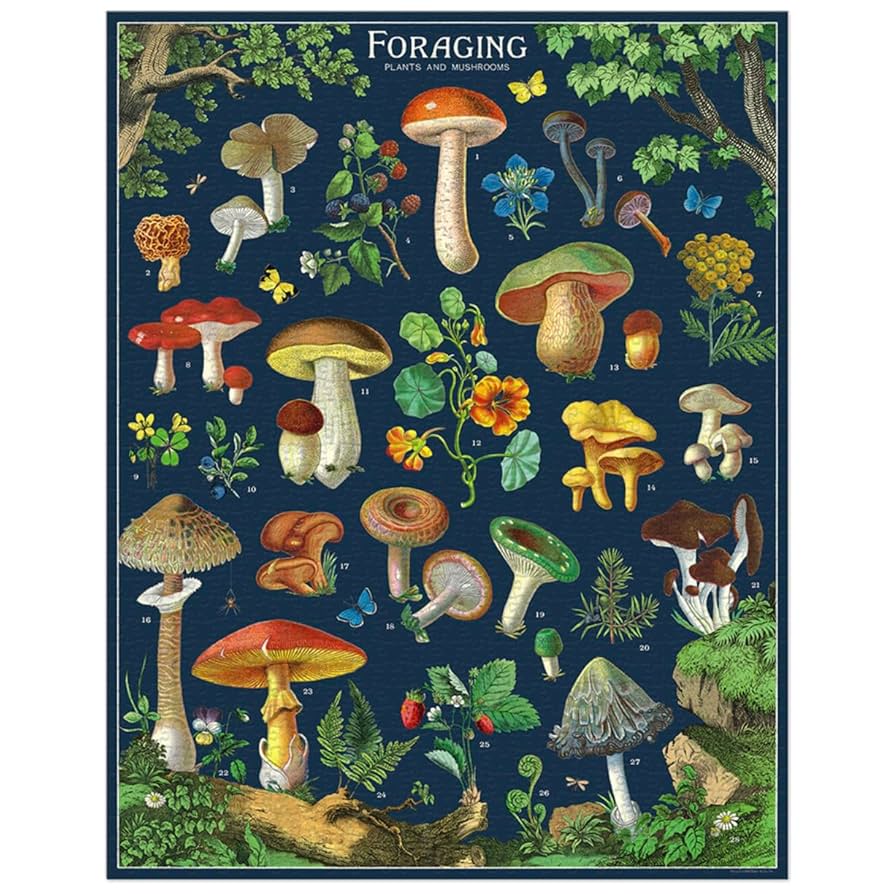 Cavallini & Co - Vintage Puzzle 1000 Pieces - Foraging - Image 2