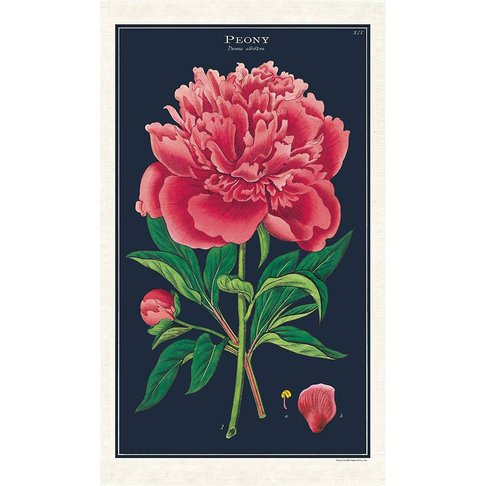 CAVALLINI & CO - TEA TOWEL "BOTANICA - PEONY"