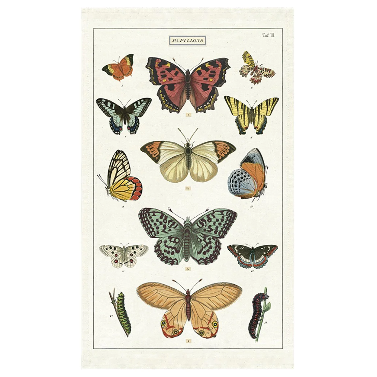 CAVALLINI & CO - TEA TOWEL "Butterflies"