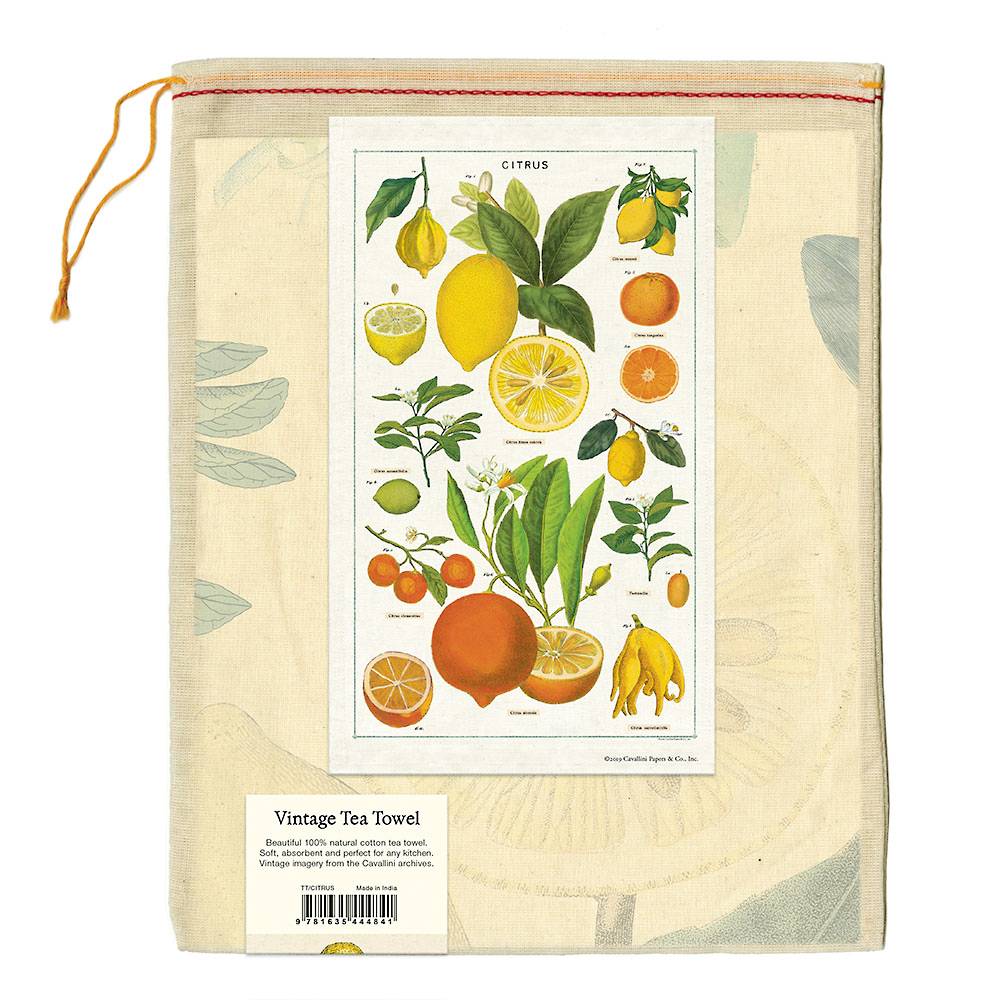 Cavallini & Co - Tea Towel - Citrus - Image 3