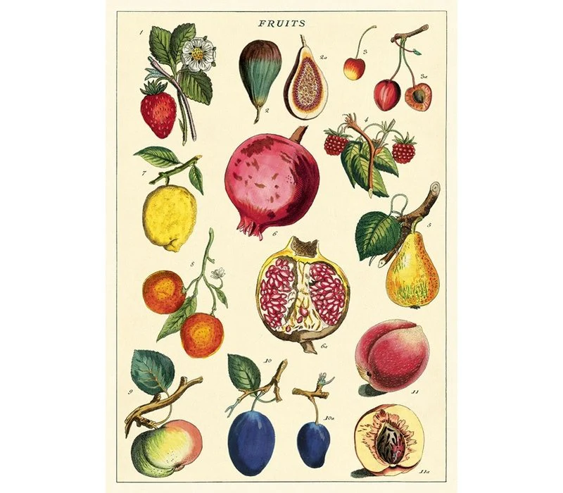 Cavallini & Co - Tea Towel - Fruits