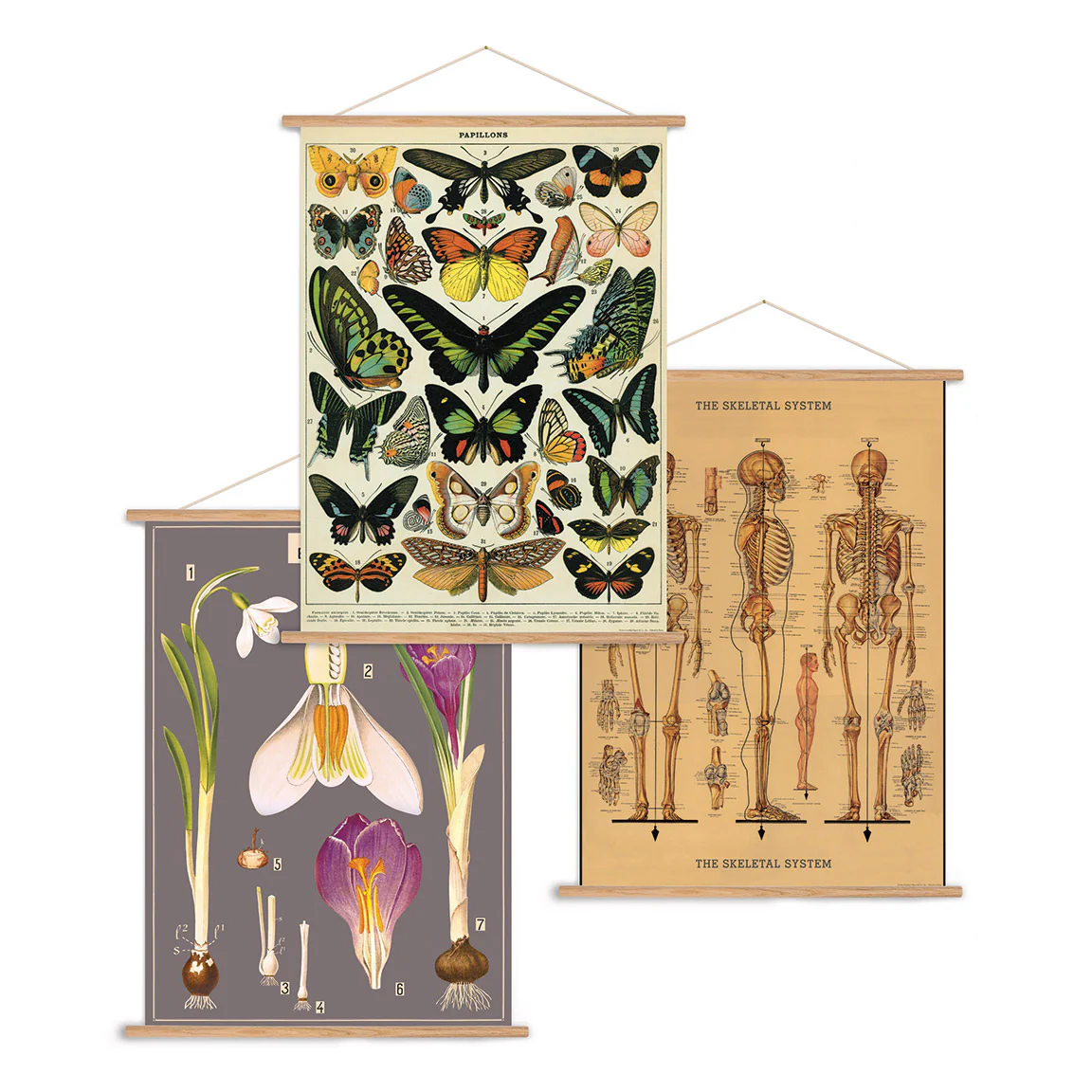 Cavallini & Co - Vertical Vintage Poster Kit - Image 3
