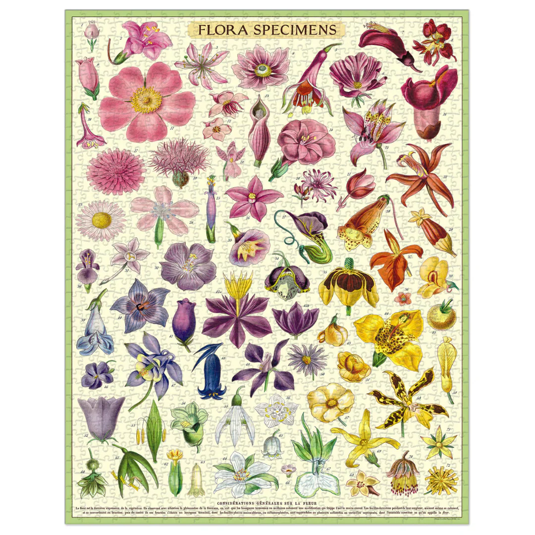 Cavallini & Co - Vintage Puzzle 1000 Pieces - Flora Specimens - Image 2