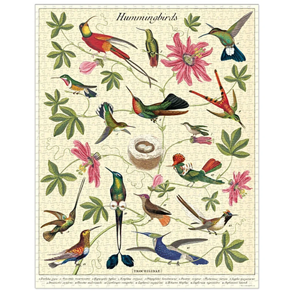 Cavallini & Co - Vintage Puzzle 1000 Pieces - Hummingbird - Image 2