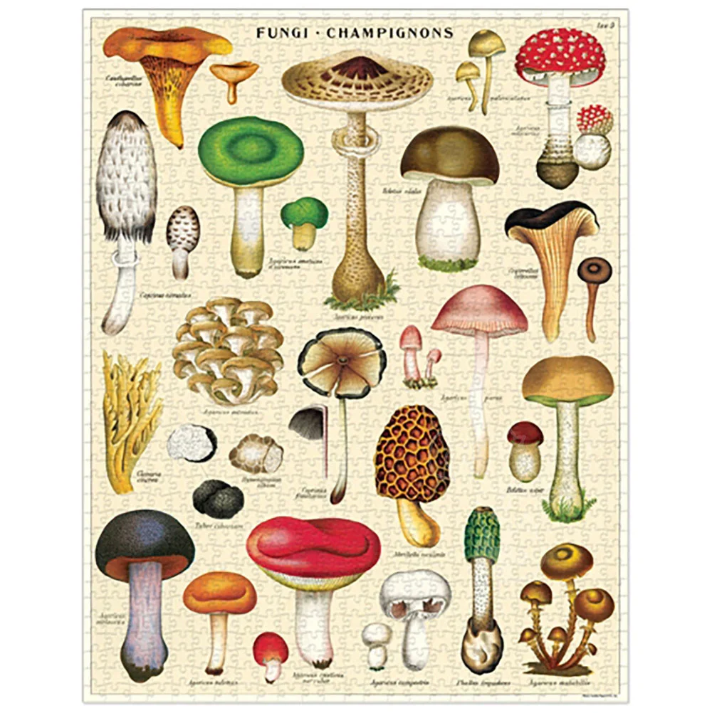 Cavallini & Co - Vintage Puzzle 1000 Pieces - Mushroom - Image 2