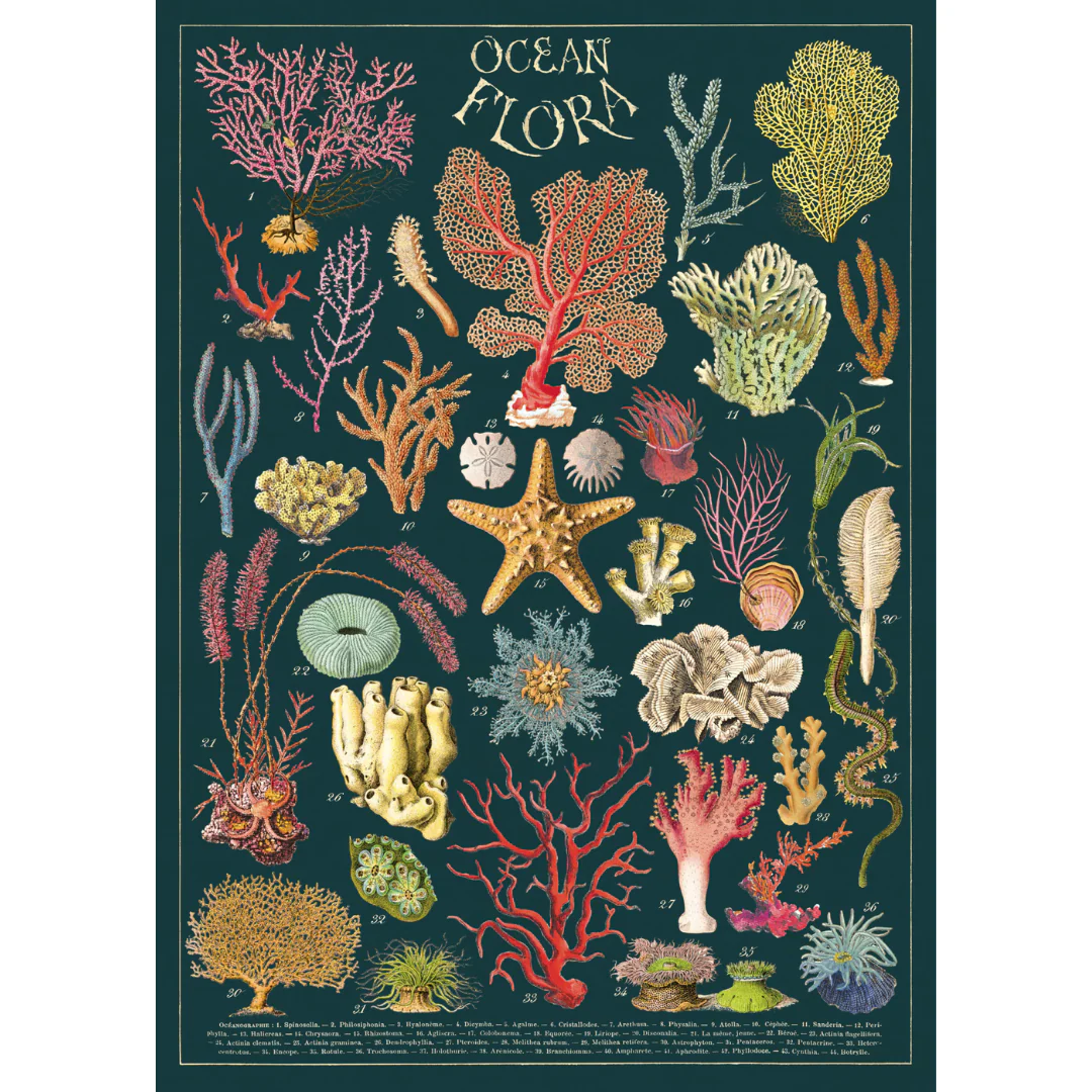 Cavallini & Co - Vintage Puzzle 1000 Pieces - Ocean Flora - Image 2