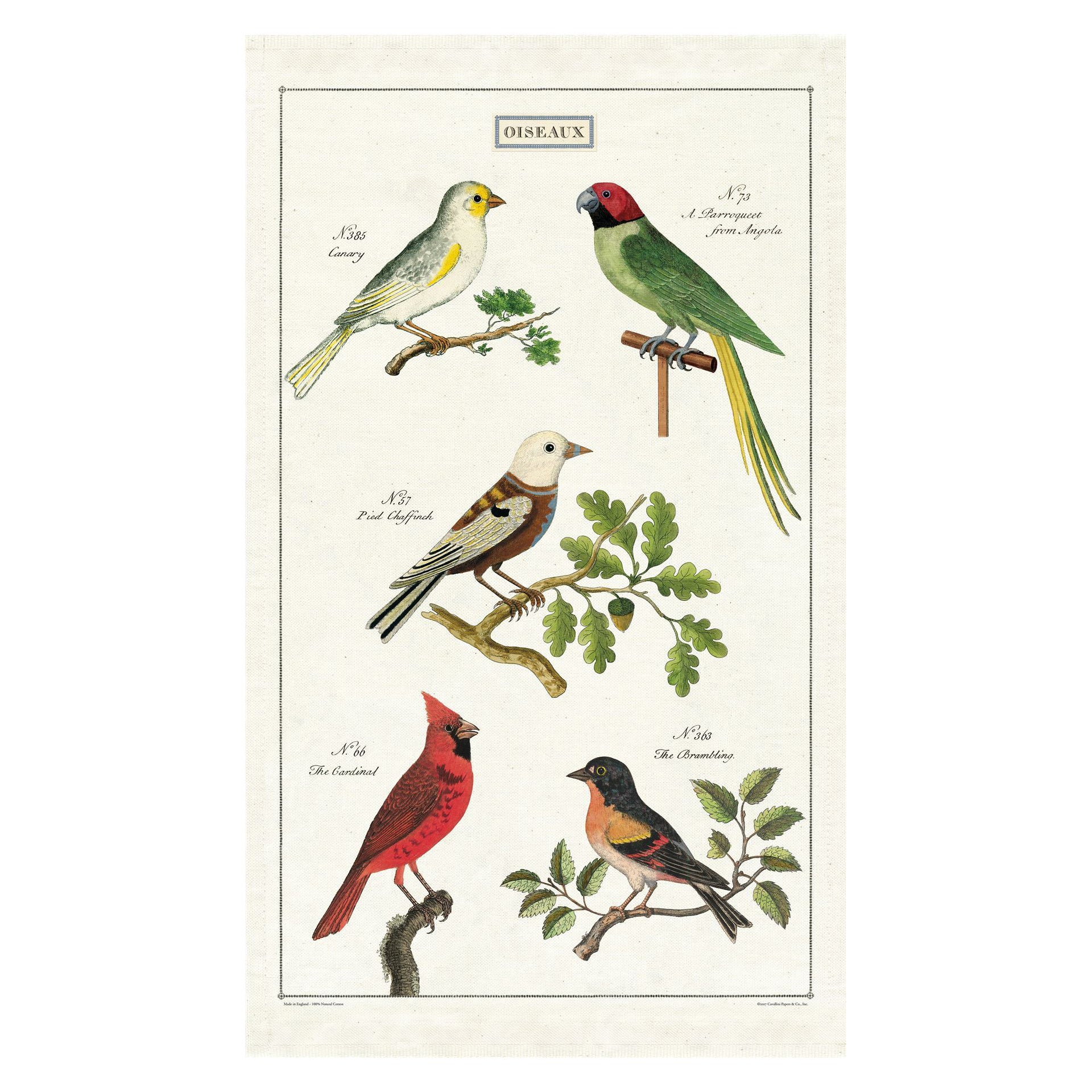 Cavallini & Co - Vintage Tea Towel - Birds