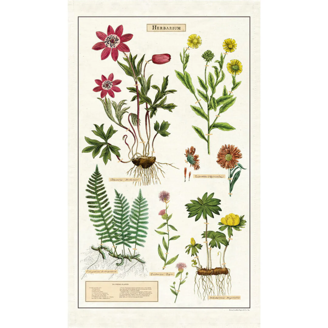 Cavallini & Co - Vintage Tea Towels - Image 3