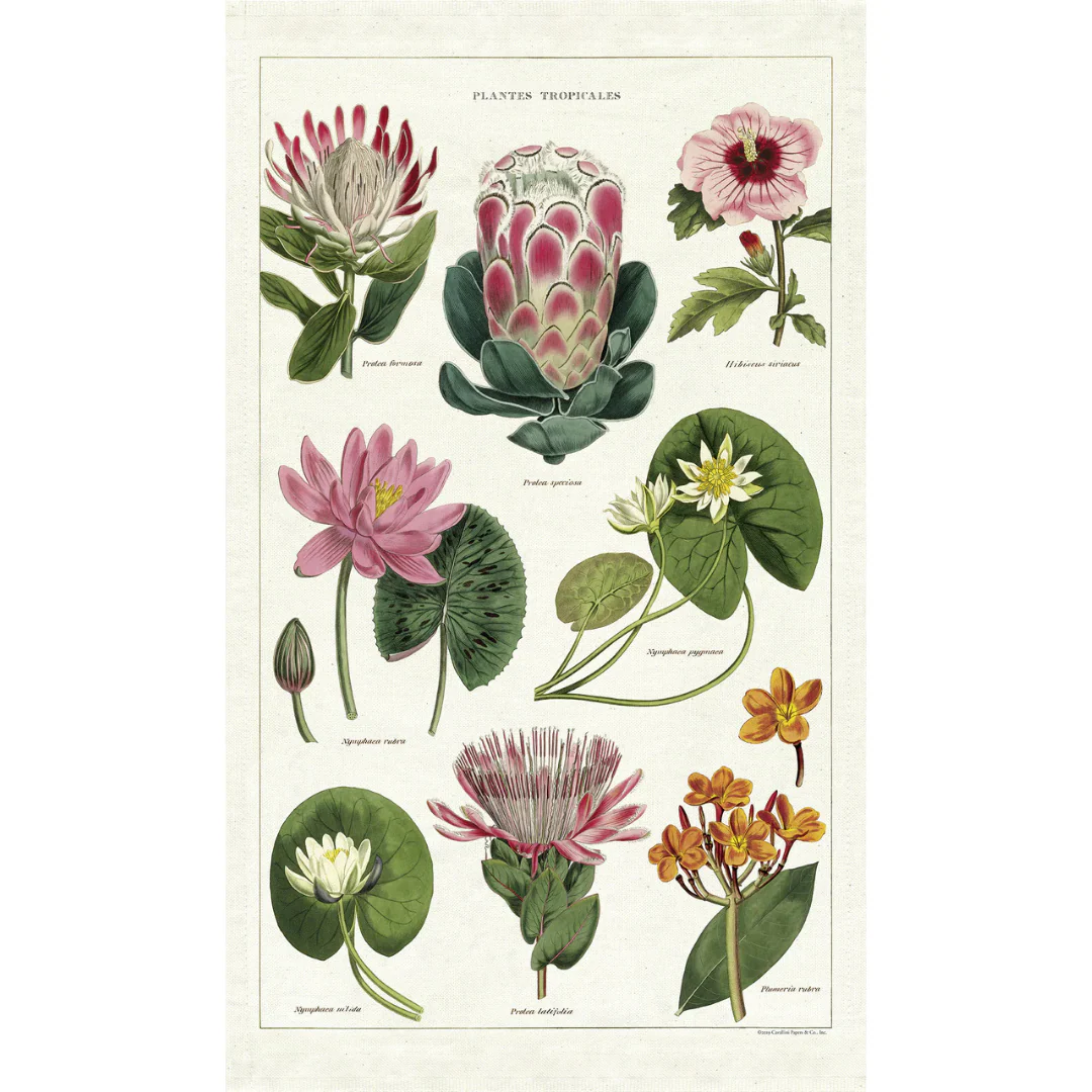 Cavallini & Co - Vintage Tea Towels - Image 6