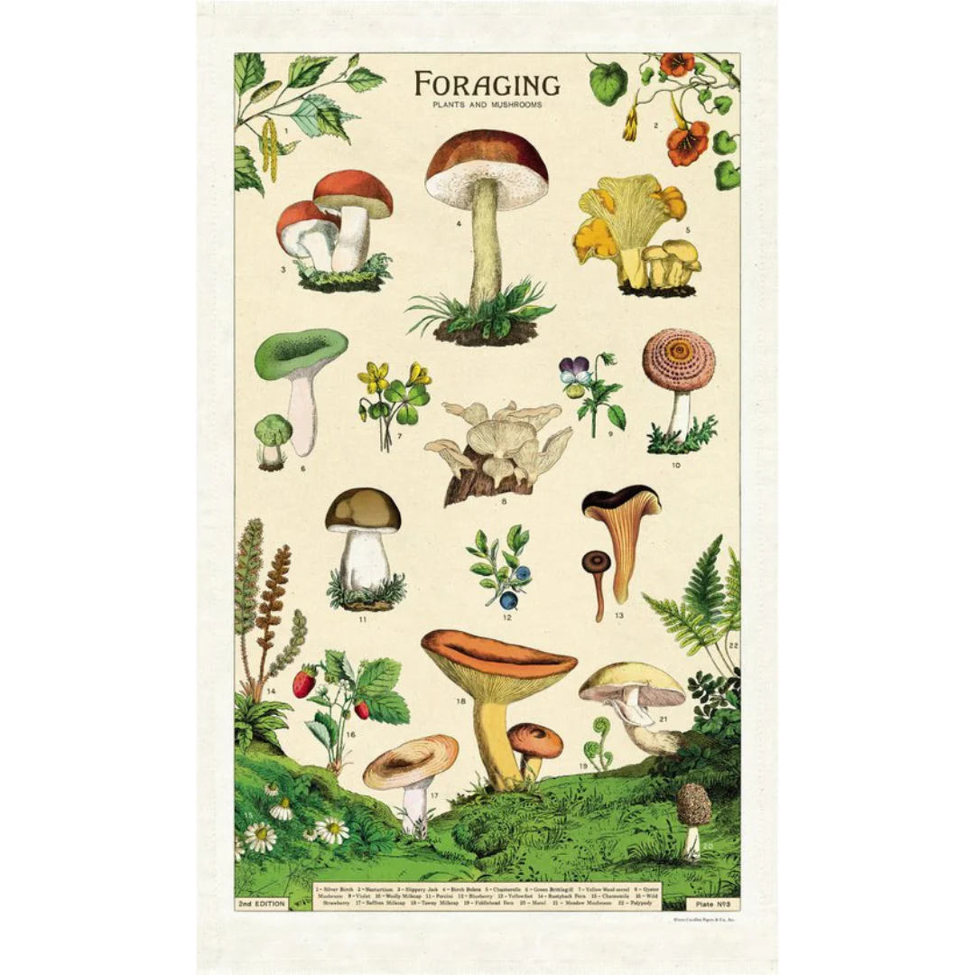 Cavallini & Co - Vintage Tea Towels - Image 7