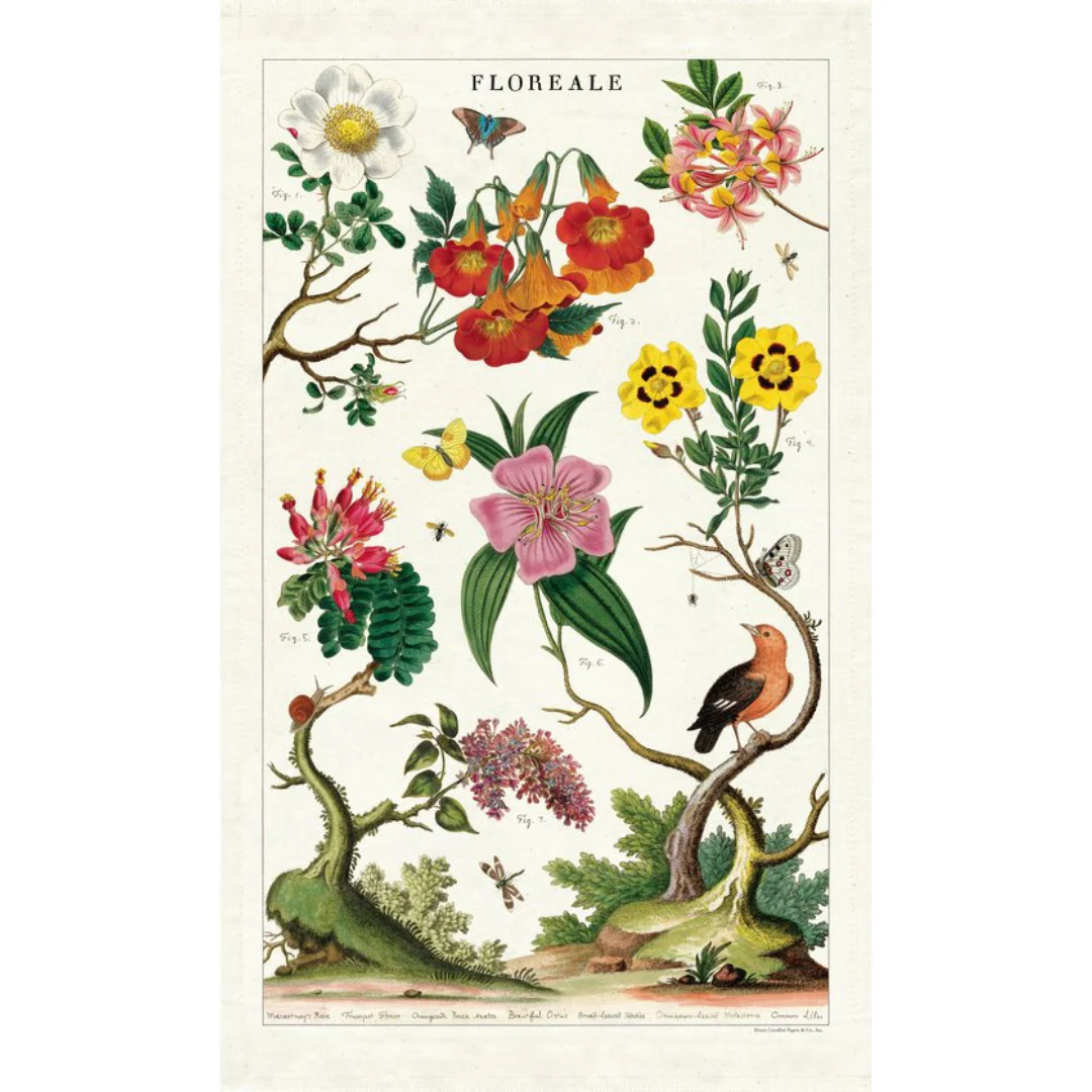 Cavallini & Co - Vintage Tea Towels - Image 8