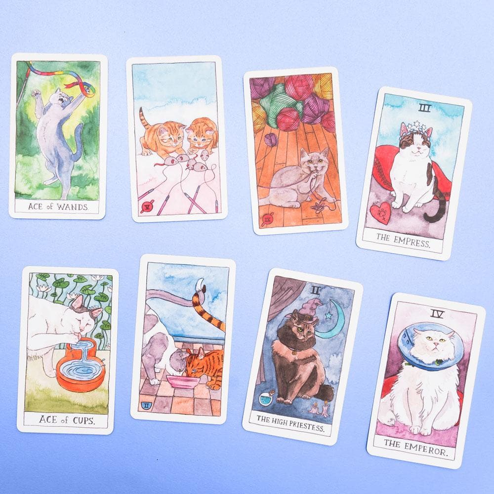 Chronicle Books - Cat Tarot 78 Cards & Guidebook - Image 2
