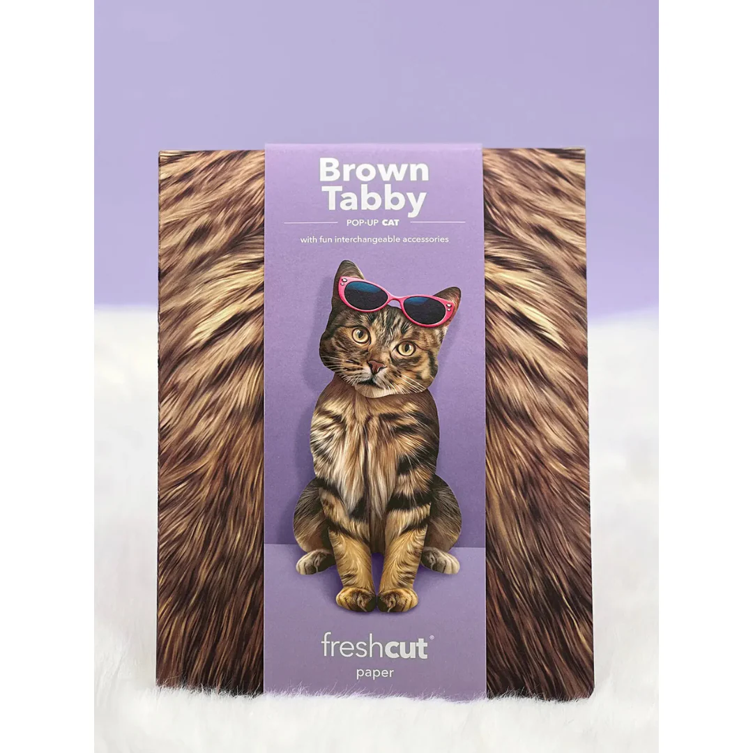 Fresh Cut Paper - Pop-Up Cat with Note Card and Accessories - Brown Tabby Cat