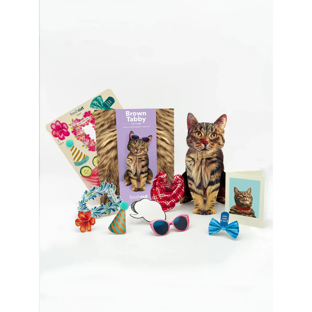 Fresh Cut Paper - Pop-Up Cat with Note Card and Accessories - Brown Tabby Cat - Image 2