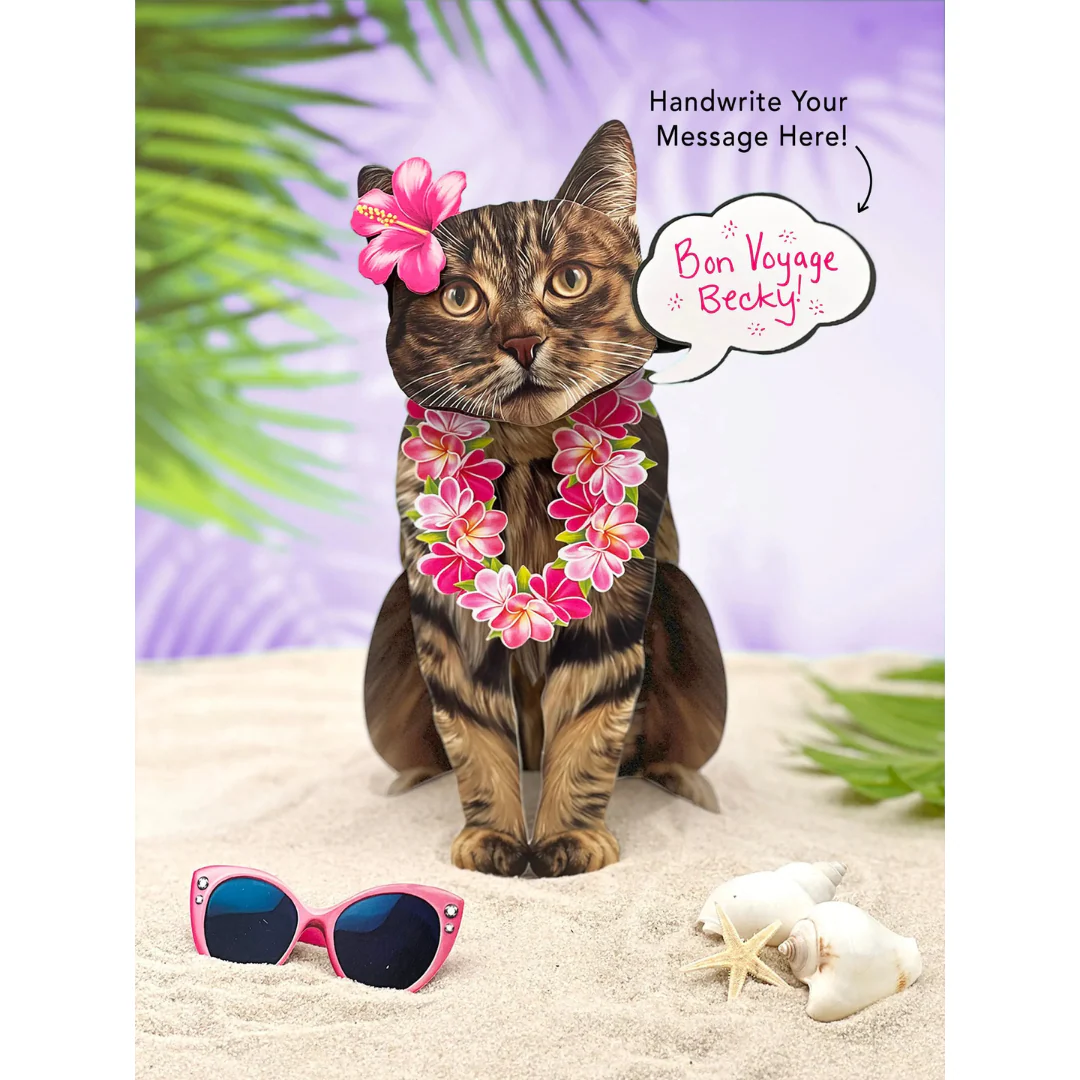 Fresh Cut Paper - Pop-Up Cat with Note Card and Accessories - Brown Tabby Cat - Image 4