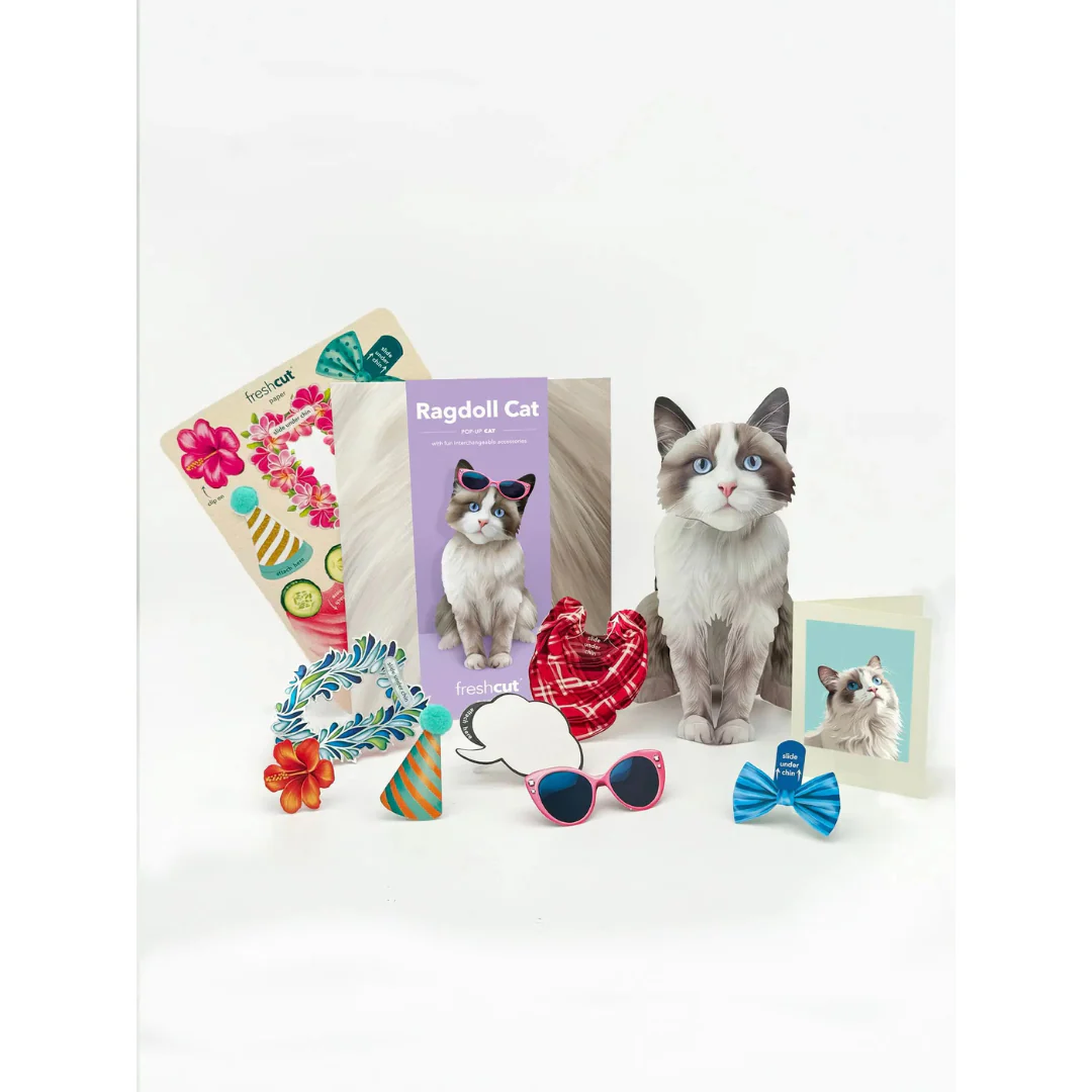 Fresh Cut Paper - Pop-Up Cat with Note Card and Accessories - Ragdoll Cat - Image 2