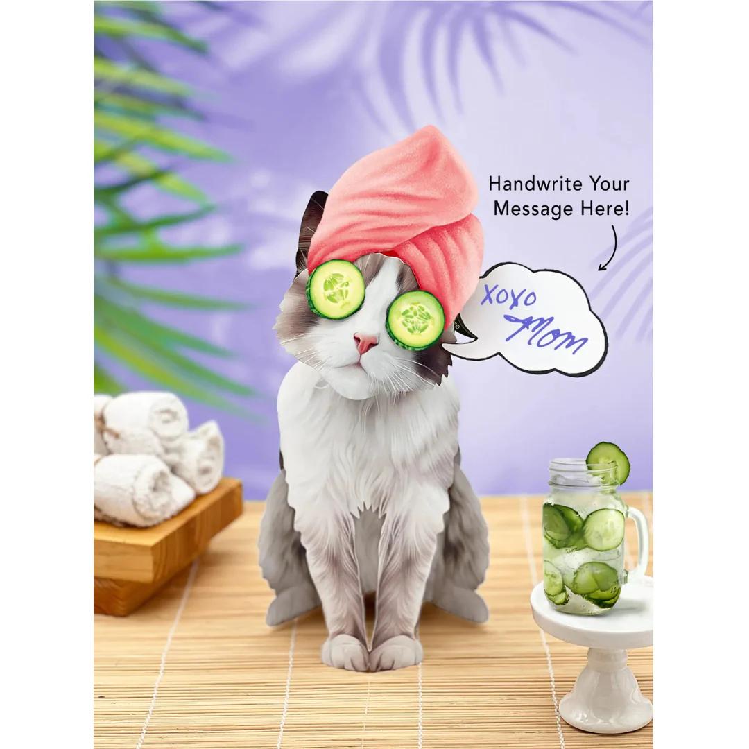 Fresh Cut Paper - Pop-Up Cat with Note Card and Accessories - Ragdoll Cat - Image 4