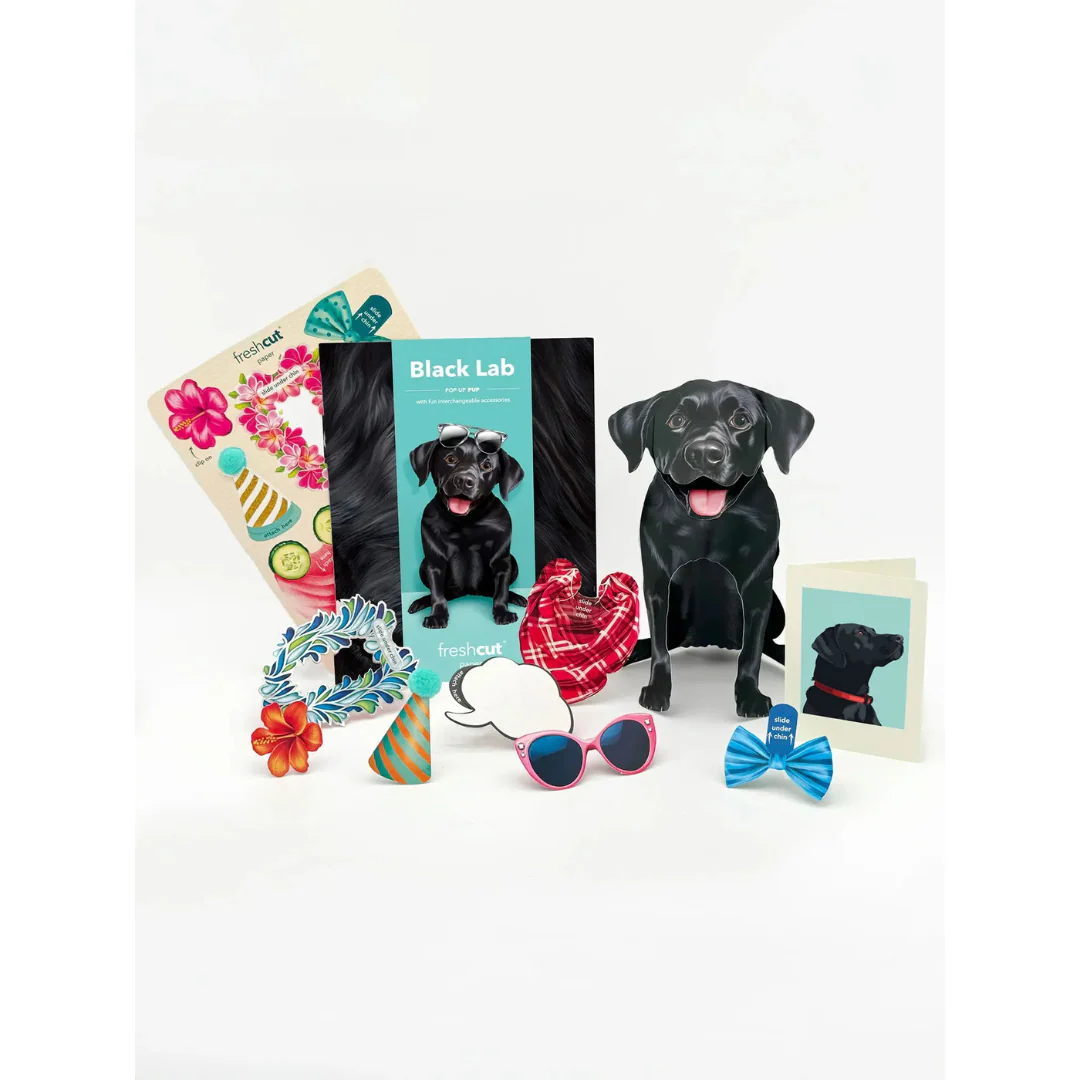 Fresh Cut Paper - Pop-Up Pup with Note Card and Accessories - Black Lab - Image 2
