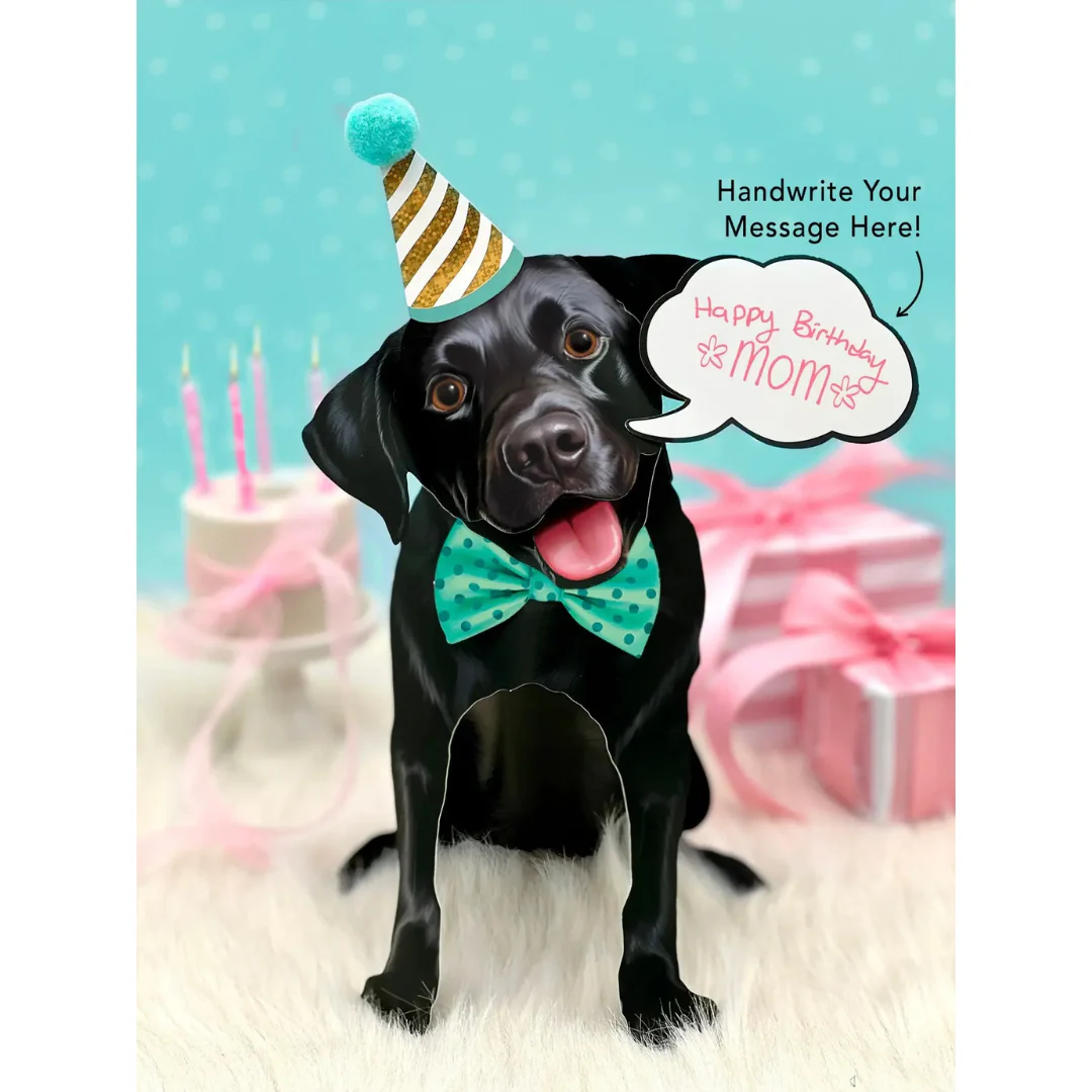 Fresh Cut Paper - Pop-Up Pup with Note Card and Accessories - Black Lab - Image 4