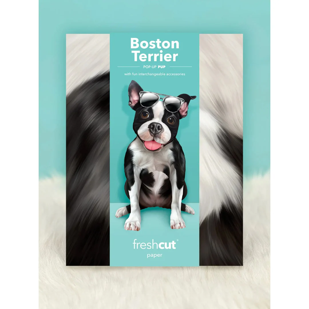 Fresh Cut Paper - Pop-Up Pup with Note Card and Accessories - Boston Terrier