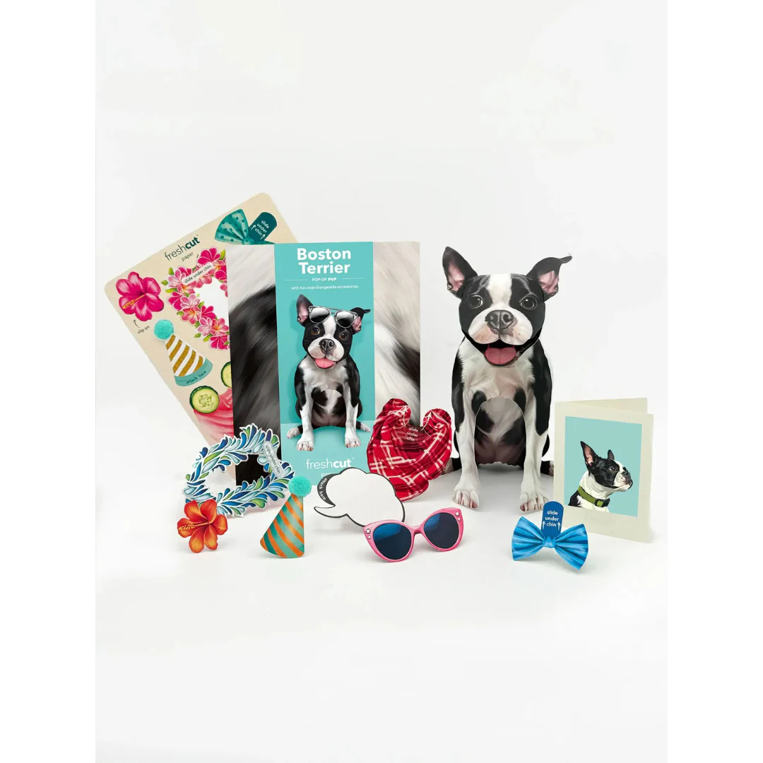 Fresh Cut Paper - Pop-Up Pup with Note Card and Accessories - Boston Terrier - Image 2