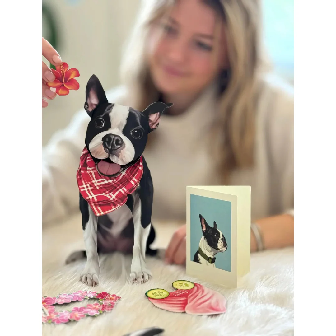 Fresh Cut Paper - Pop-Up Pup with Note Card and Accessories - Boston Terrier - Image 3