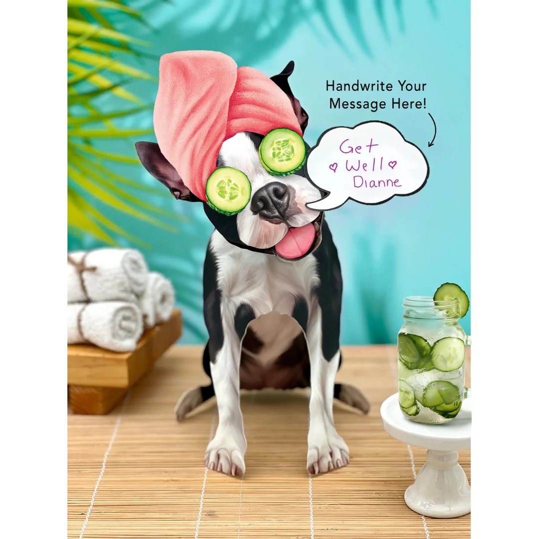 Fresh Cut Paper - Pop-Up Pup with Note Card and Accessories - Boston Terrier - Image 4