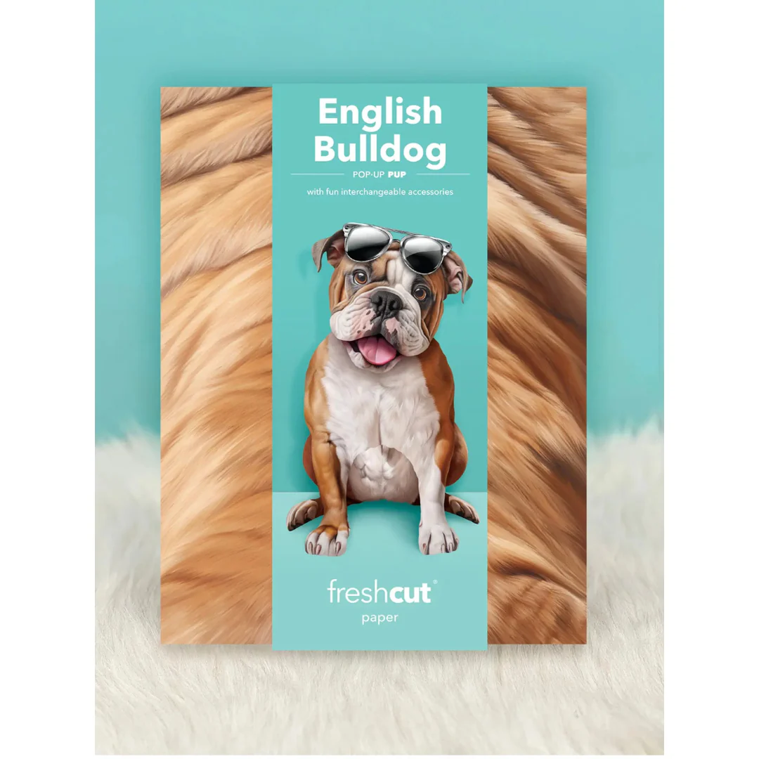 Fresh Cut Paper - Pop-Up Pup with Note Card and Accessories - English Bulldog