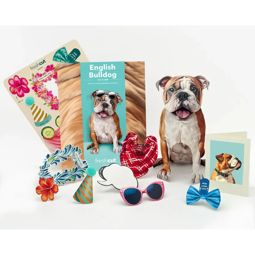 Fresh Cut Paper - Pop-Up Pup with Note Card and Accessories - English Bulldog - Image 2