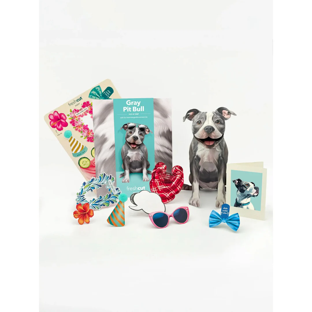 Fresh Cut Paper - Pop-Up Pup with Note Card and Accessories - Grey Pit Bull - Image 2