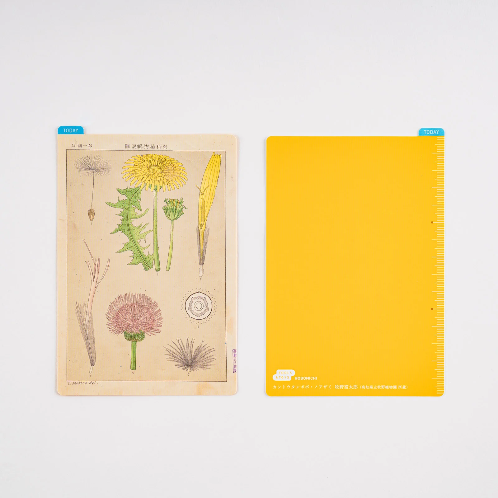 Hobonichi Techo 2025 - Pencil Board - Tomitaro Makino (A5/A6/Weeks) - Image 3