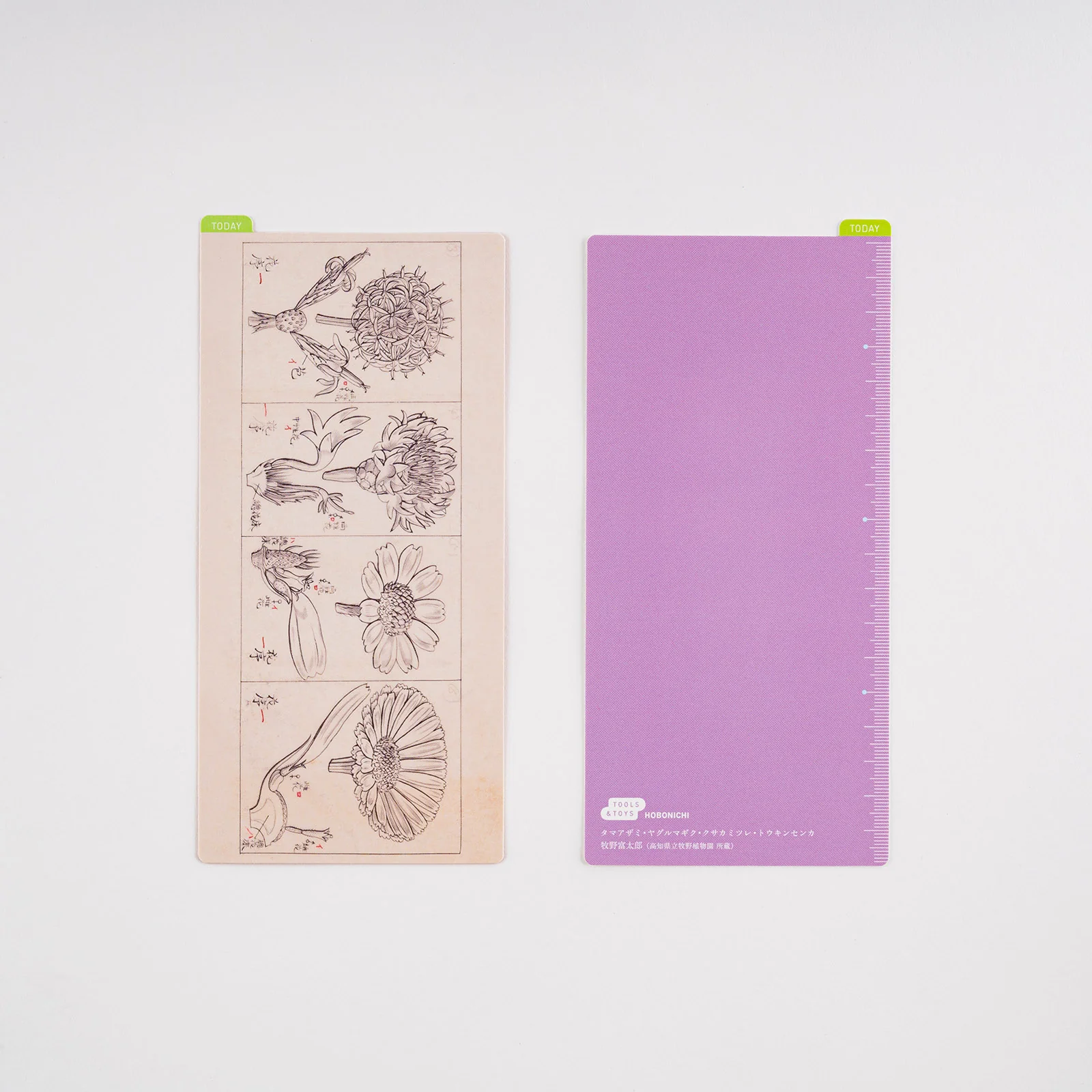 Hobonichi Techo 2025 - Pencil Board - Tomitaro Makino (A5/A6/Weeks) - Image 4