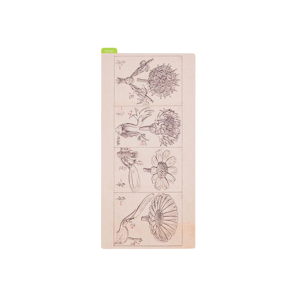 Hobonichi Techo 2025 - Pencil Board - Tomitaro Makino (A5/A6/Weeks) - Image 7