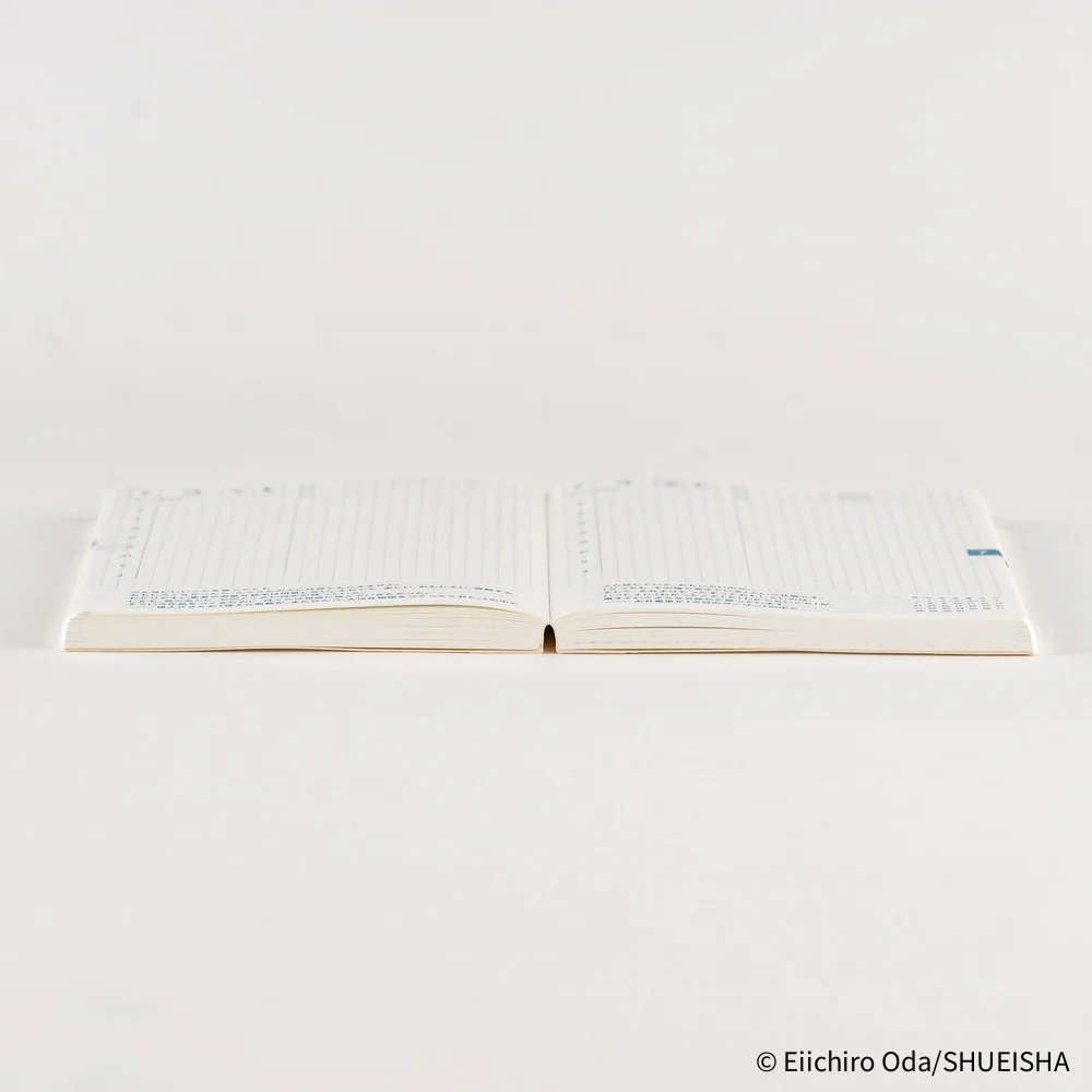 Hobonichi Techo 2026 - A6 Original Japanese Planner Book - One Piece Edition January Start - (Monday start) - Image 16