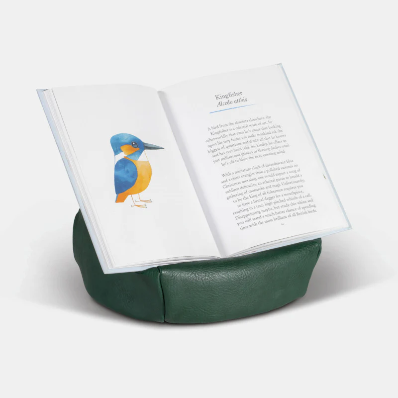 IF - Bookaroo - Bean Bag Reading Rest - Forest Green