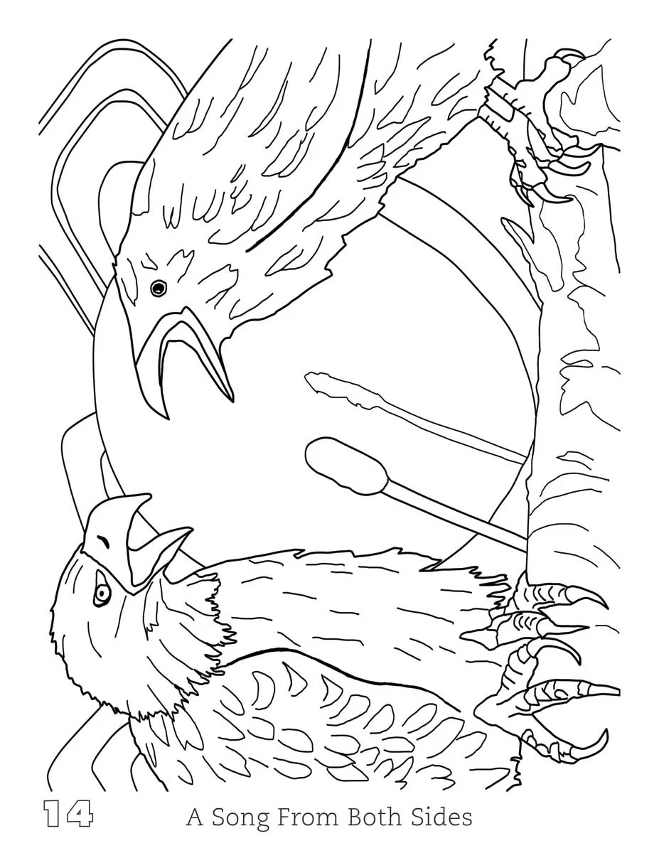 INDIGENOUS COLLECTION - Jean Taylor Coloring Book - Image 3