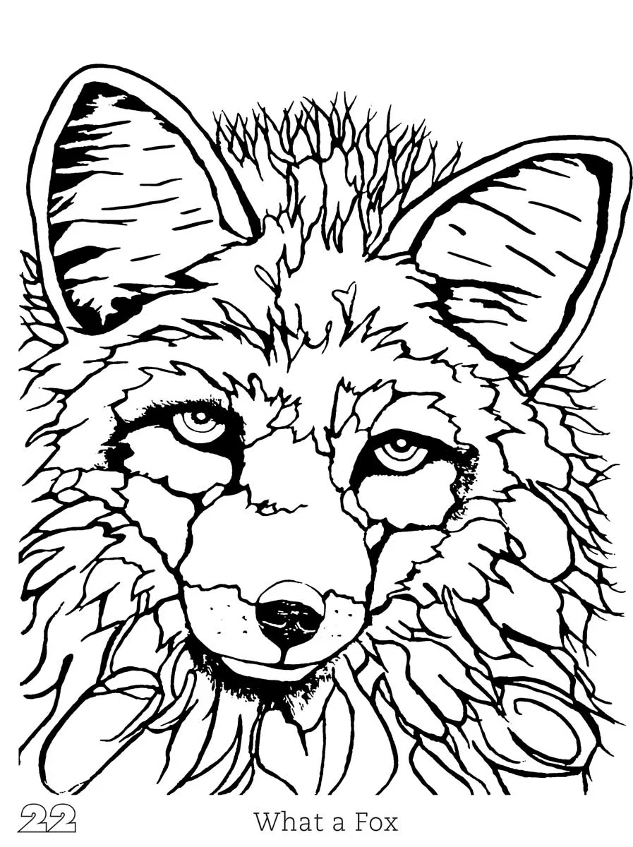 INDIGENOUS COLLECTION - Micqaela Jones Coloring Book - Image 3