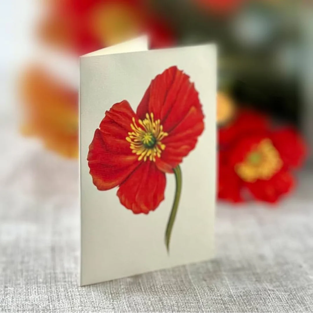 Fresh Cut Paper - Life Sized Pop-Up Flower Bouquet with Note Card - French Poppies - Image 3