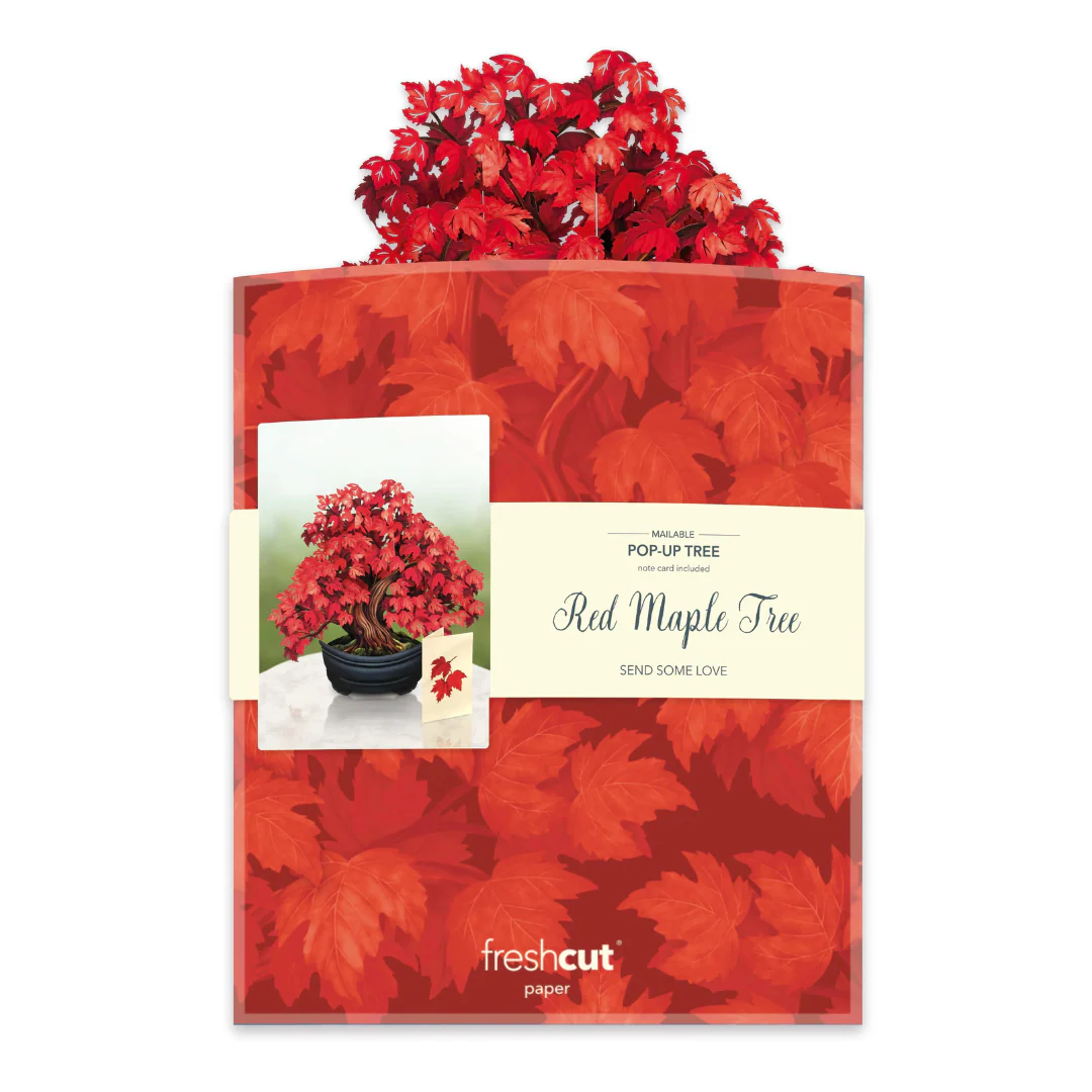 Fresh Cut Paper - Life Sized Pop-Up Tree with Note Card - Red Maple Tree
