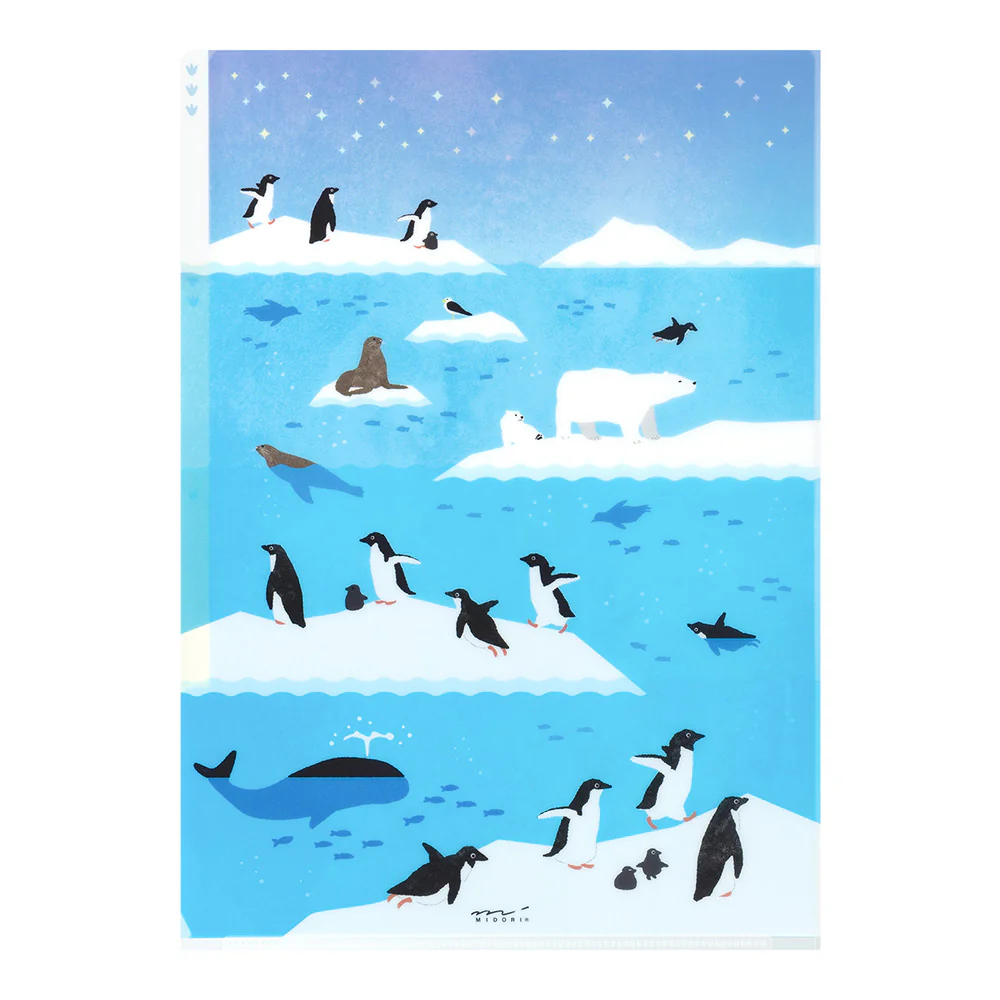 MIDORI - 3-Pocket Clear Folder - A4 | Sea Creatures - Image 2