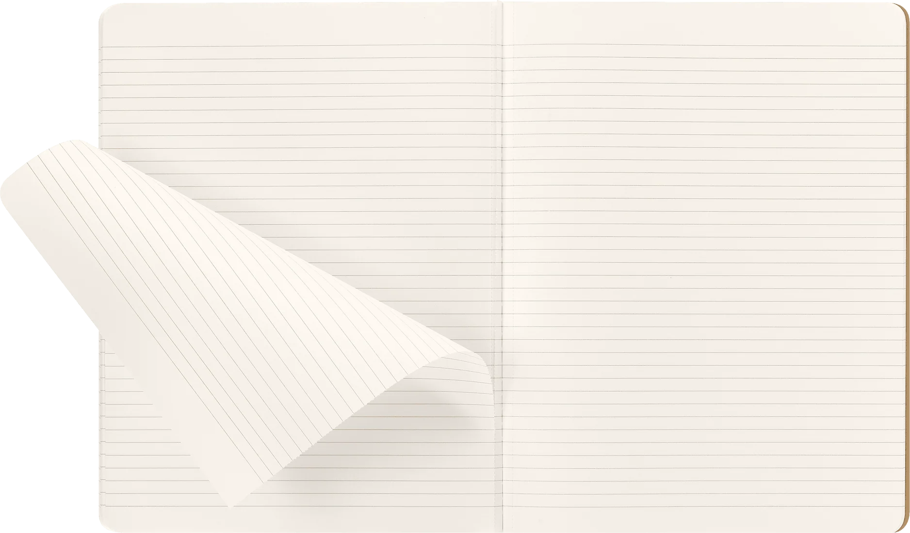 MOLESKINE - WIZARDING WORLD HARRY POTTER LIMITED EDITION CAHIER - WINGARDIUM LEVIOSA - Image 4
