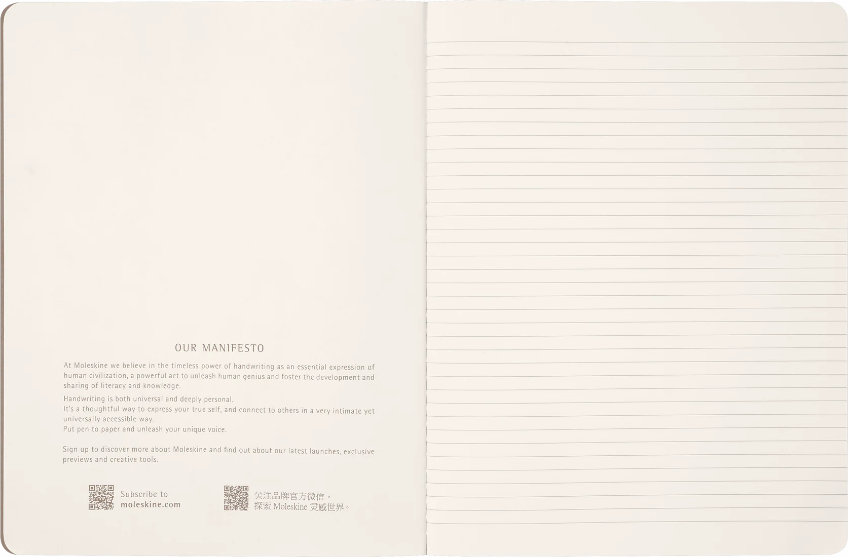 MOLESKINE - WIZARDING WORLD HARRY POTTER LIMITED EDITION CAHIER - WINGARDIUM LEVIOSA - Image 6