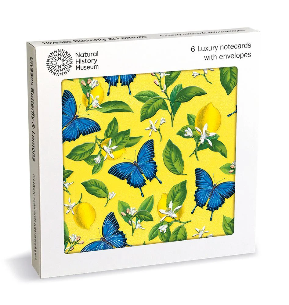 Museums & Galleries - 6 Luxury Notecards/Envelopes - Ulysses Butterfly & Lemons