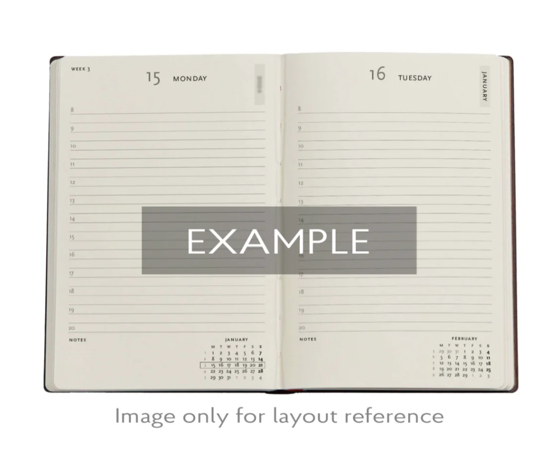 Paperblanks - 2026 Balloon Festival, Pierre the Maze Detective, 12-Month Planner Flexis, DAY-AT-A-TIME - Midi, Day-at-a-Time, Elastic Band, 432 Pg, 80 GSM - Image 2