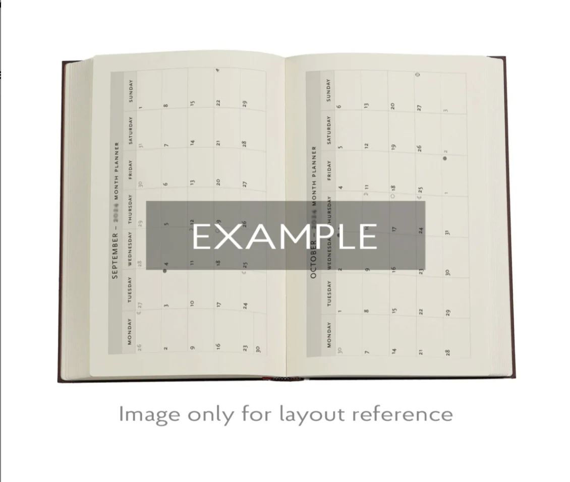 Paperblanks - 2026 Balloon Festival, Pierre the Maze Detective, 12-Month Planner Flexis, DAY-AT-A-TIME - Midi, Day-at-a-Time, Elastic Band, 432 Pg, 80 GSM - Image 3