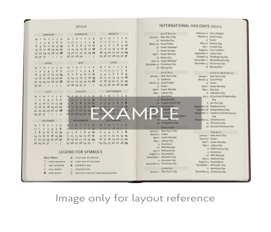 Paperblanks - 2026 Balloon Festival, Pierre the Maze Detective, 12-Month Planner Flexis, DAY-AT-A-TIME - Midi, Day-at-a-Time, Elastic Band, 432 Pg, 80 GSM - Image 4