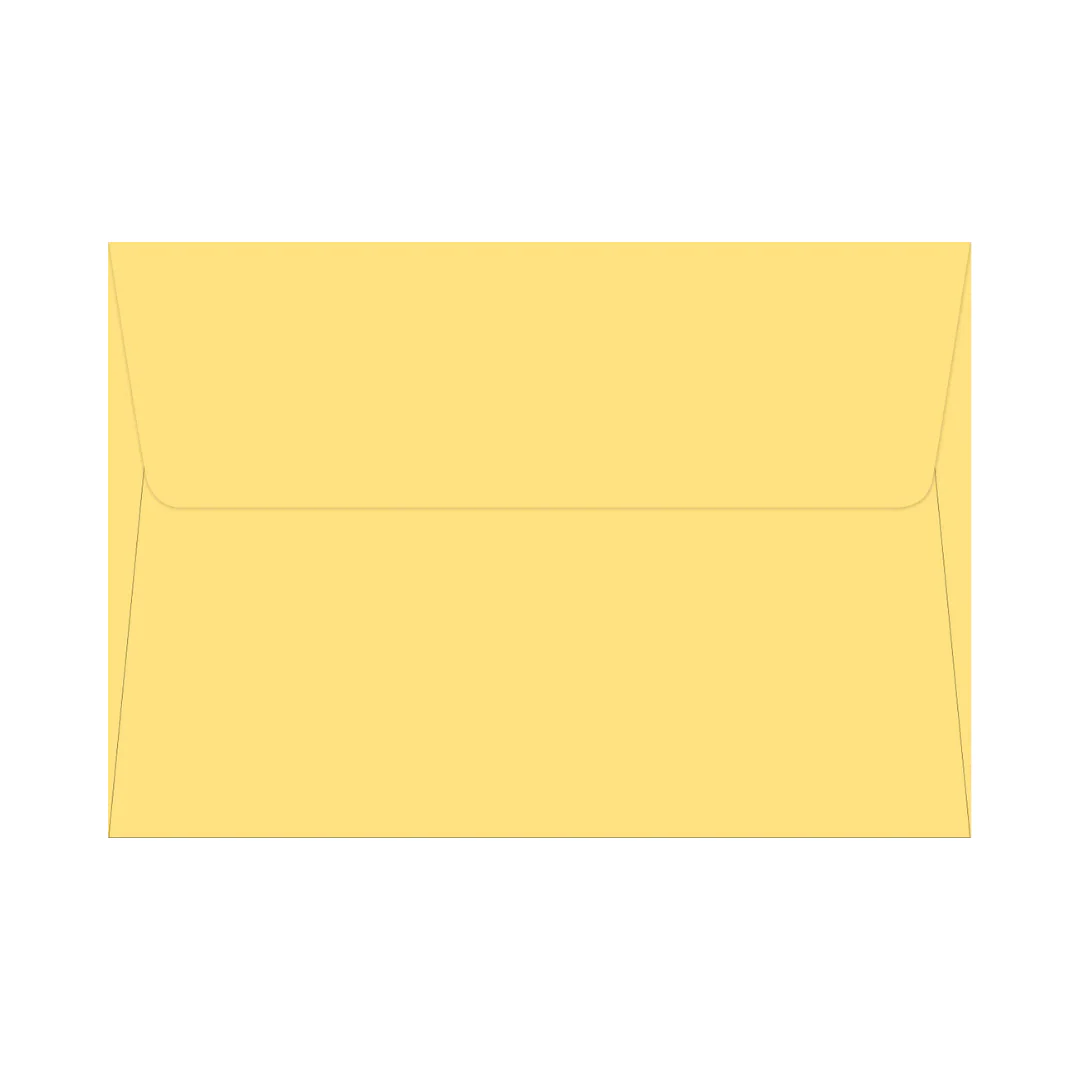 PETER PAUPER PRESS - Boxed Note Cards - Watercolor Sunflower - Image 2