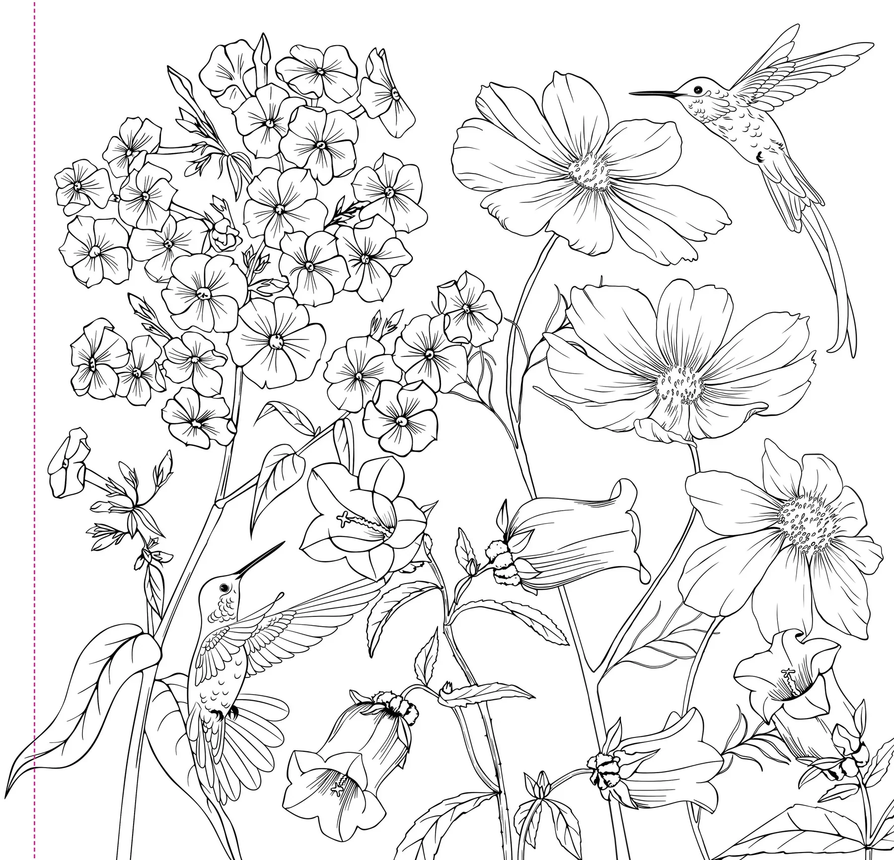 Peter Pauper Press - Studio Series Artist's Coloring Book - Wildflowers - Image 2